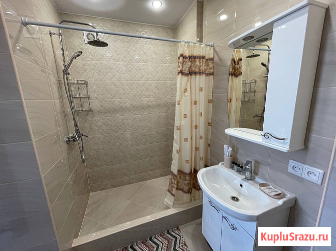 Квартира-студия, 25.1 м², 10/17 эт. в аренду посуточно в Королеве Королев - изображение 4