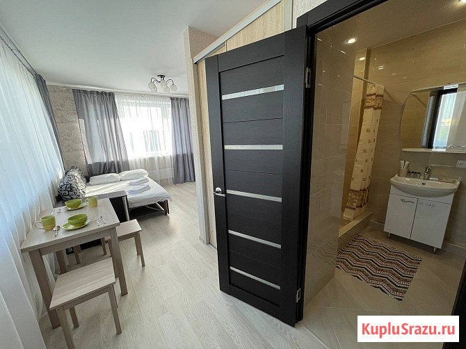 Квартира-студия, 25.1 м², 10/17 эт. в аренду посуточно в Королеве Королев - изображение 3