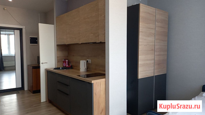 Квартира-студия, 24.9 м², 11/17 эт. в аренду посуточно в Королеве Королев - изображение 2