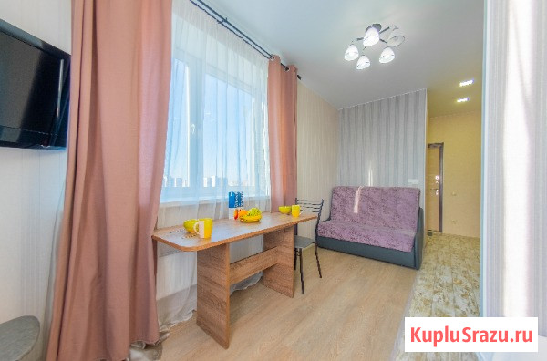 Квартира-студия, 24 м², 12/17 эт. в аренду посуточно в Королеве Королев - изображение 3