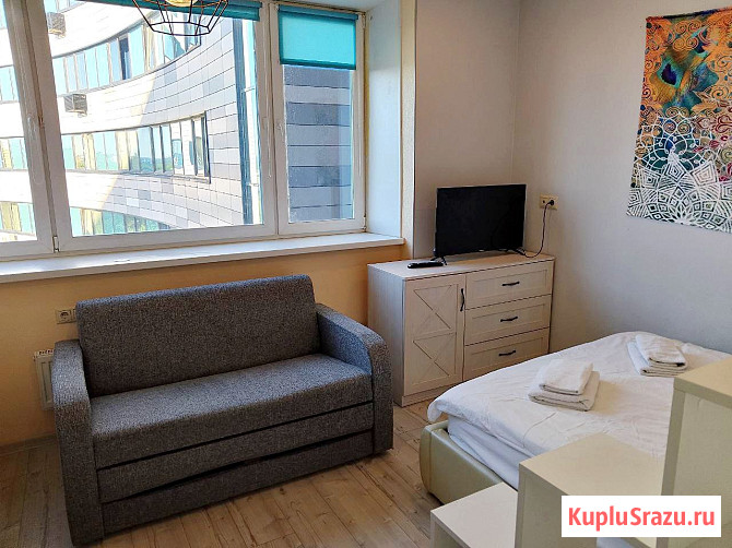 Квартира-студия, 24.1 м², 14/17 эт. в аренду посуточно в Королеве Королев - изображение 2