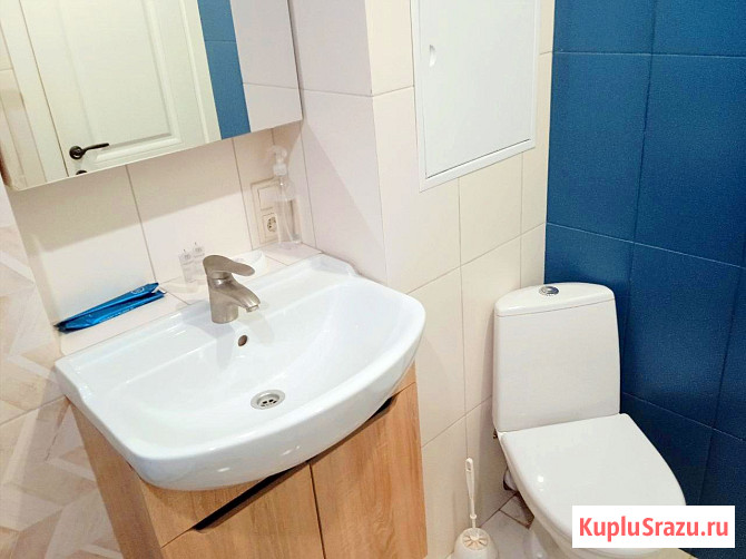 Квартира-студия, 24.1 м², 14/17 эт. в аренду посуточно в Королеве Королев - изображение 5