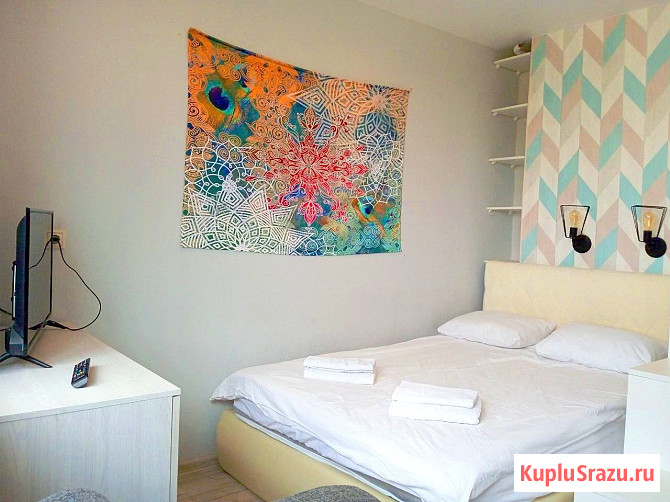 Квартира-студия, 24.1 м², 14/17 эт. в аренду посуточно в Королеве Королев - изображение 1