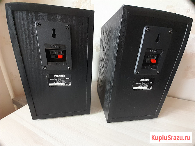 Мониторные акустика Magnat Monitor Supreme 100 Челябинск - изображение 4