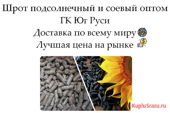 Шрот подсолнечный и соевый оптом от производителя ГК Юг Руси Ростов-на-Дону - изображение 1