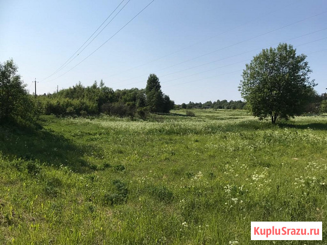 Участок ИЖС 125 сот. на продажу в Старой Руссе Старая Русса - изображение 2